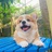 李毅