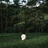 Fountainhead