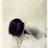 暖暖の万丈光芒