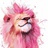 kitty