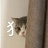 S.H.