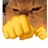 😽😽😽