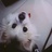 美猴王
