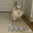 豆友lh0GYz1XsM