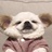 看见月亮