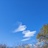 辛夷