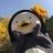 Bloom（*