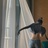 威猛猛猛