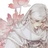 要道德有美貌