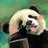 孙小狐狸大老虎