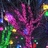 豆友sie5vJy_f8