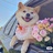 云儿