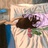 xixixin_
