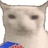 人类。