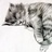vivacat