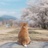 鸢飞