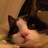 RStudio