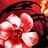 海上繁花