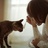 猫咪吃苹果。