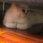 口袋