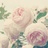 Rosa_Tiner