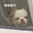 橙装