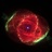 heppye