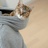 ^Daisy