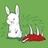 兔兔爱吃板栗