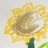 Sisi_小张。