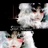 爱笑的驴