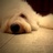 TOBY.
