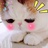 午后肥猫