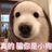 狗子🐶