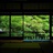 颜植美学实验室