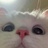 Diane发疯