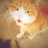 大黄猫