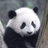 烤鸡翅