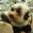 lizzy.C