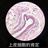 shimmer_Z