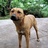 Wilson_lee