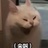 梅太郎郎
