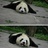 你猜我在想什么