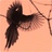 deadbird