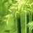 梦迥