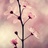 rrrrr如蕊