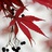风暴