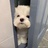 不是很关心