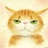 家有贱猫初长成