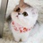 點點Joyce